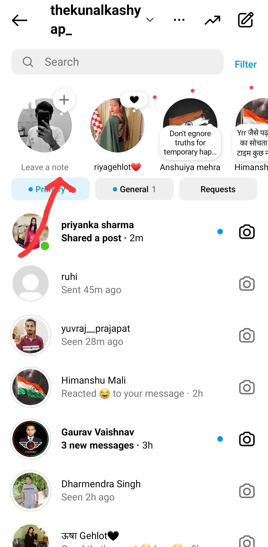 instagram notes highlighted with red arrow